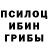 Галлюциногенные грибы Psilocybine cubensis t small