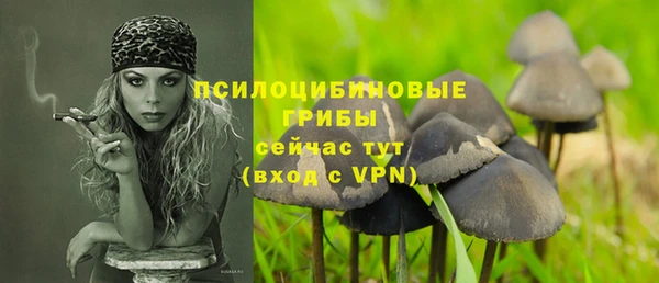 герыч Алексин